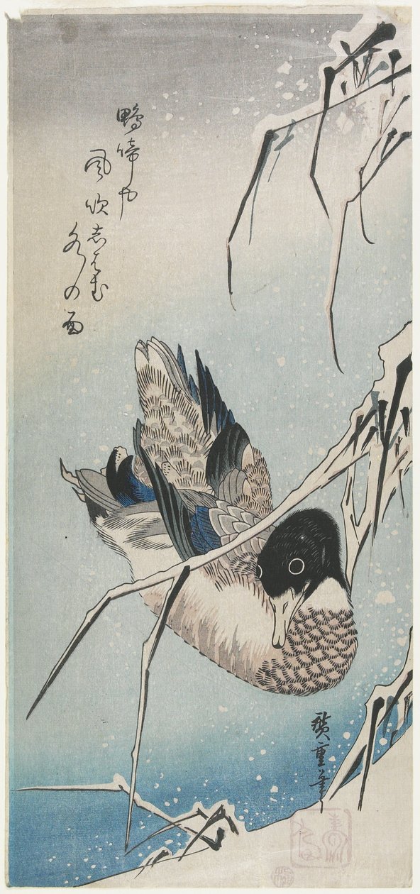 (Pato y juncos nevados), principios de la década de 1830 de Utagawa Hiroshige