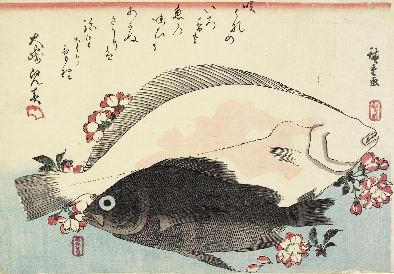 (Platija y lubina negra, flores de cerezo) de Utagawa Hiroshige
