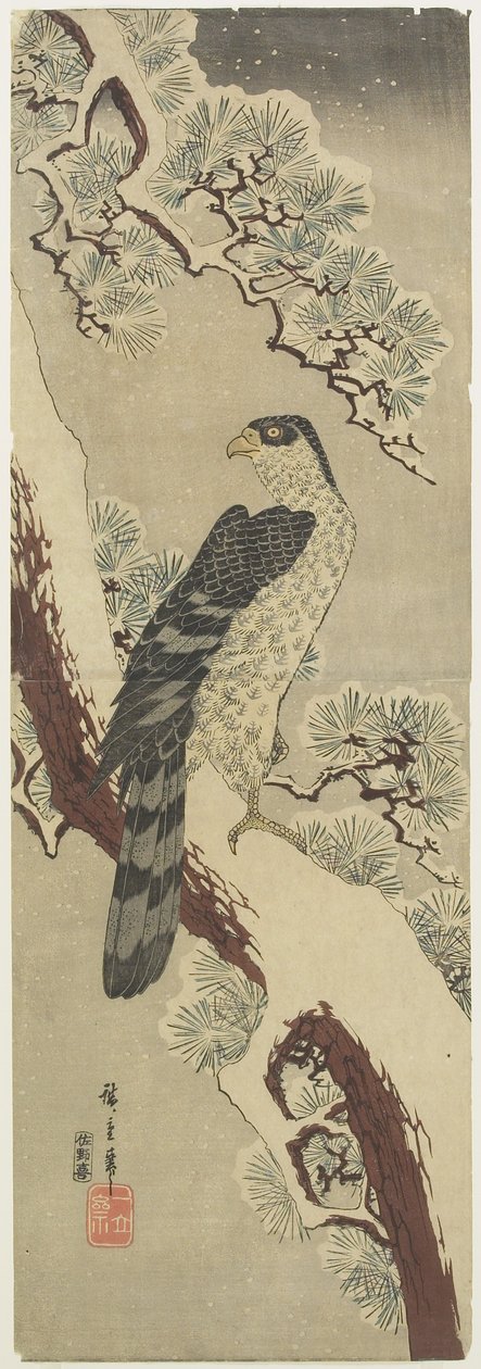 (Halcón en rama de pino, invierno), principios del siglo XIX de Utagawa Hiroshige