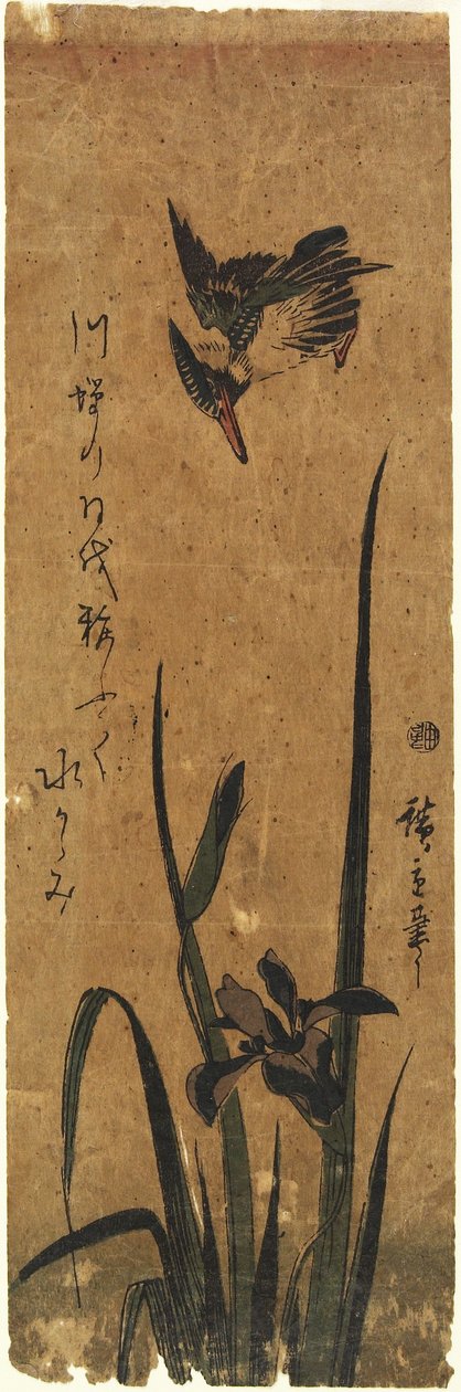 (Iris y martín pescador), 1830-1858 de Utagawa Hiroshige