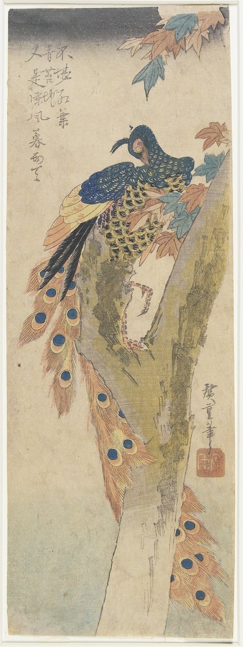 (Pavo real en árbol de arce), principios del siglo XIX de Utagawa Hiroshige