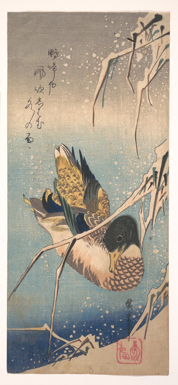 Un pato silvestre cerca de una orilla cubierta de nieve de Utagawa Hiroshige