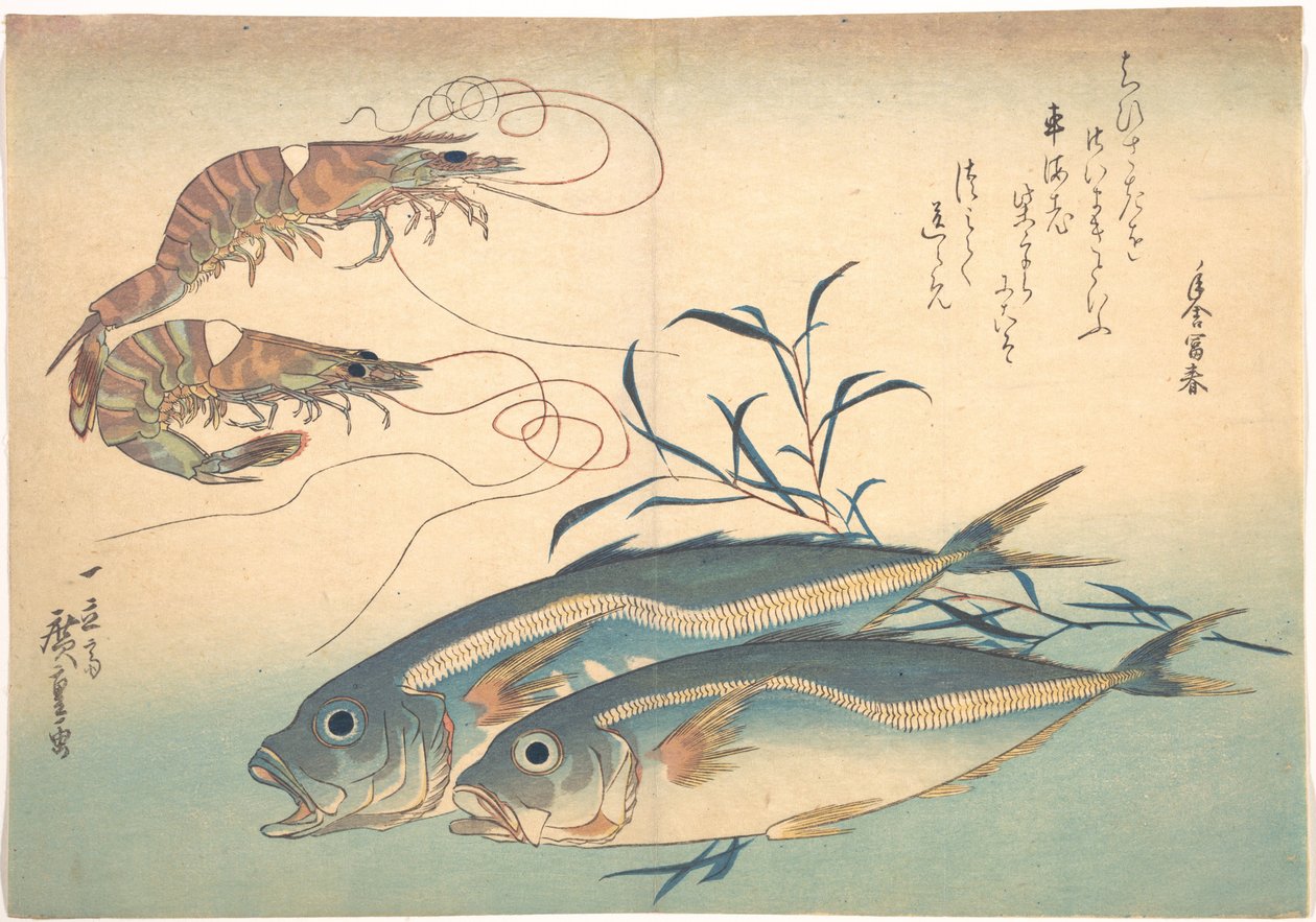 Pez aji y gamba kuruma, de la serie Uozukushi (Todas las variedades de peces) de Utagawa Hiroshige