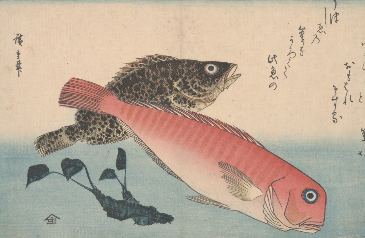 Amadai, Mebaru y raíz de wasabi de Utagawa Hiroshige