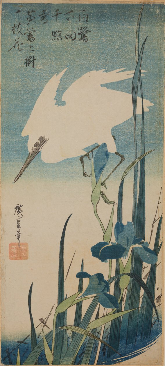 Una garza blanca en vuelo y lirios azules / Shobu to shirasagi de Utagawa Hiroshige
