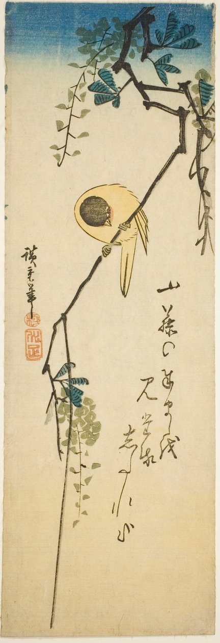 Pájaro en glicinia sedosa de Utagawa Hiroshige