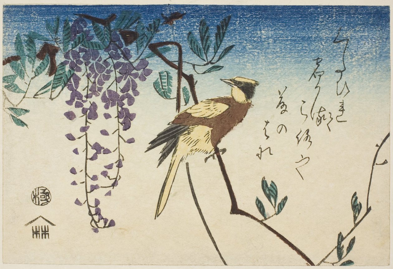 Oropéndola de nuca negra y glicinia de Utagawa Hiroshige