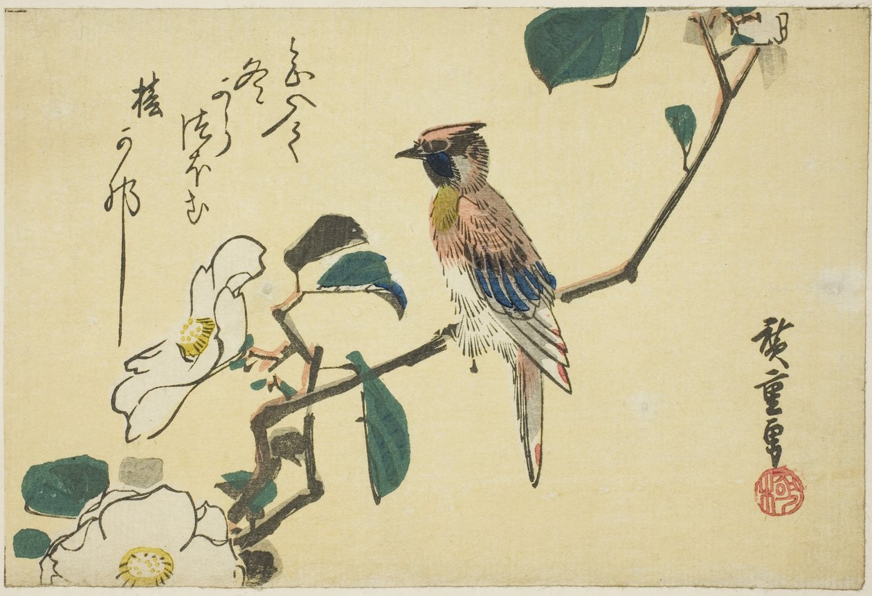 Oriol de nuca negra en rama de camelia de Utagawa Hiroshige