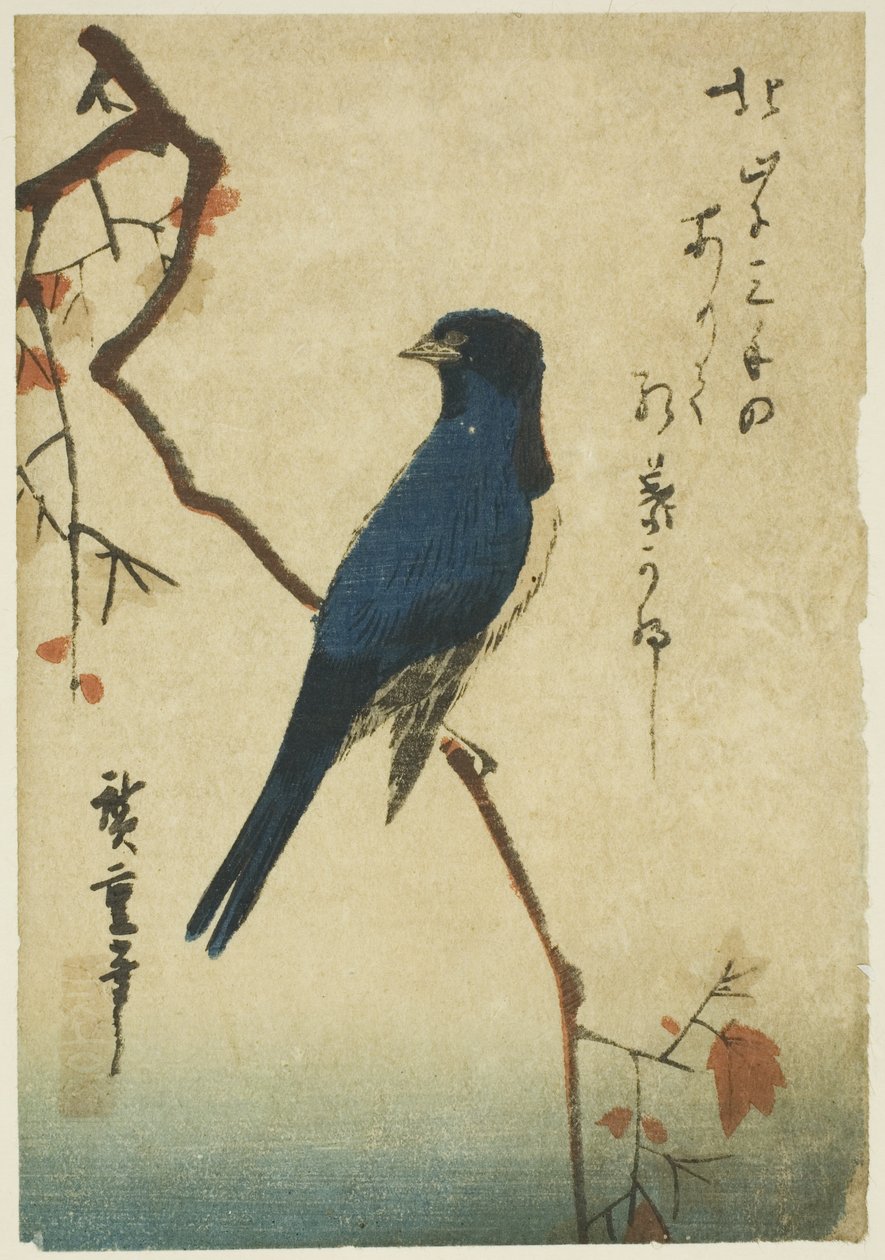 Pájaro azul en rama de arce de Utagawa Hiroshige