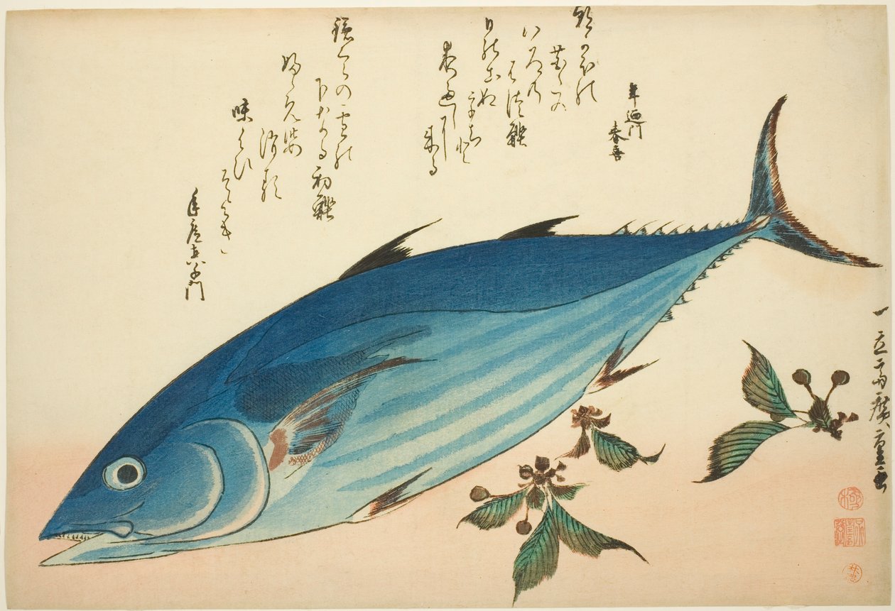 Bonito y saxífraga, de una serie sin título de peces de Utagawa Hiroshige
