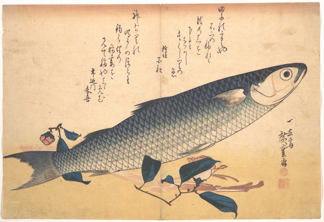 Pez bora con camelia, de la serie Uozukushi (Toda variedad de peces) de Utagawa Hiroshige