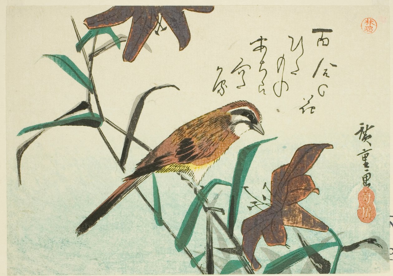 Escribano y lirios de Utagawa Hiroshige