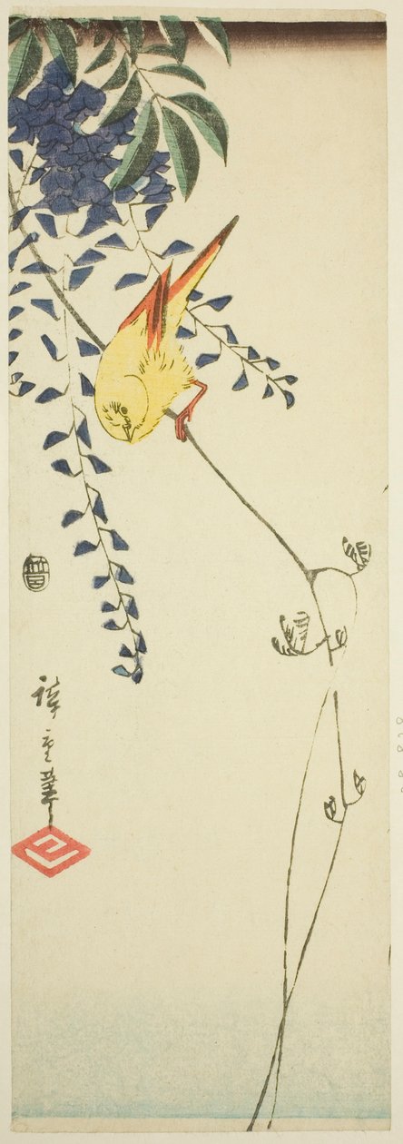 Canario y glicinia de Utagawa Hiroshige