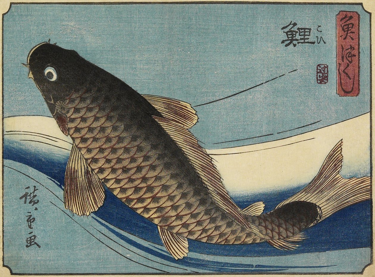 Carpa, 1830-1844 de Utagawa Hiroshige