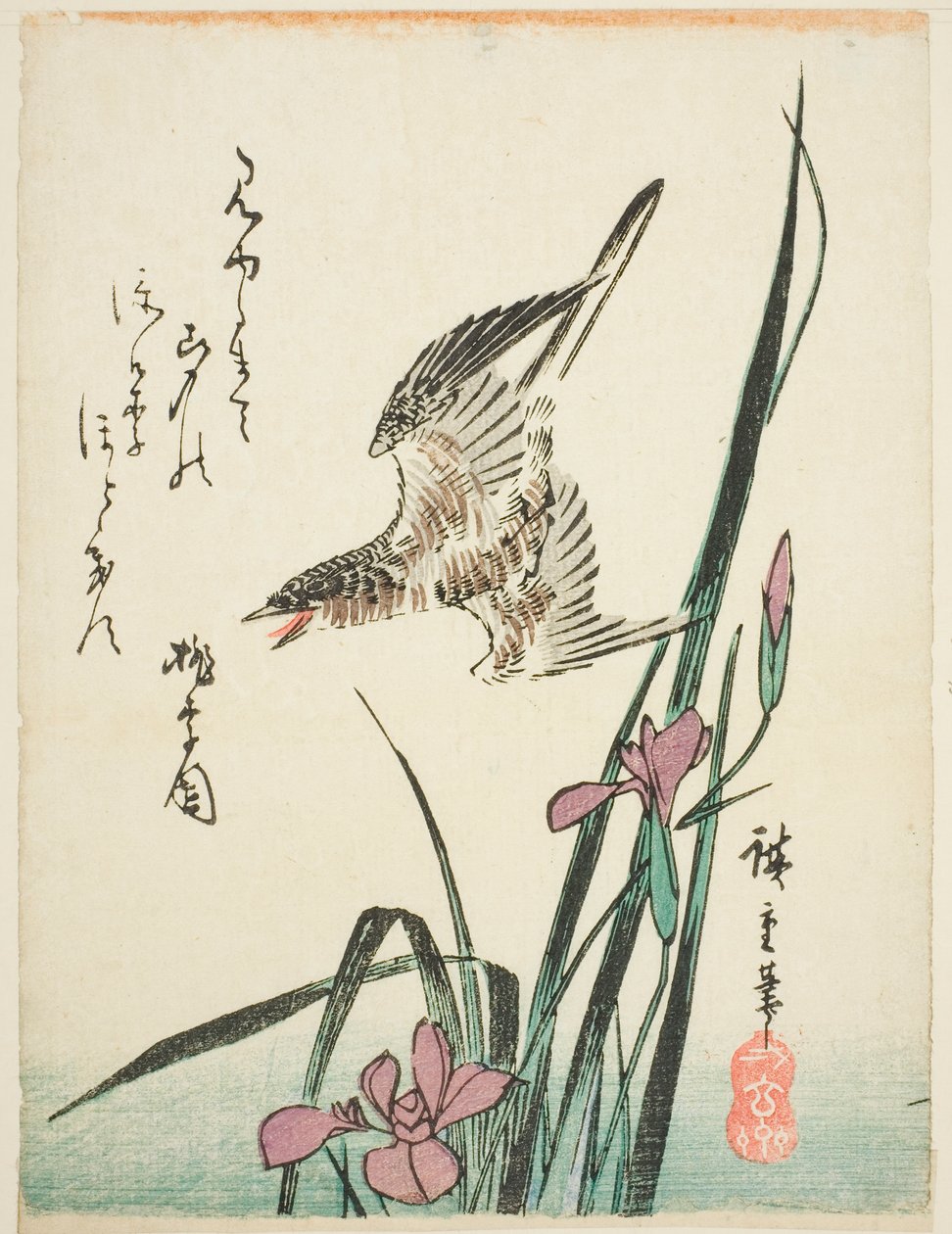 Cuco volando sobre iris de Utagawa Hiroshige