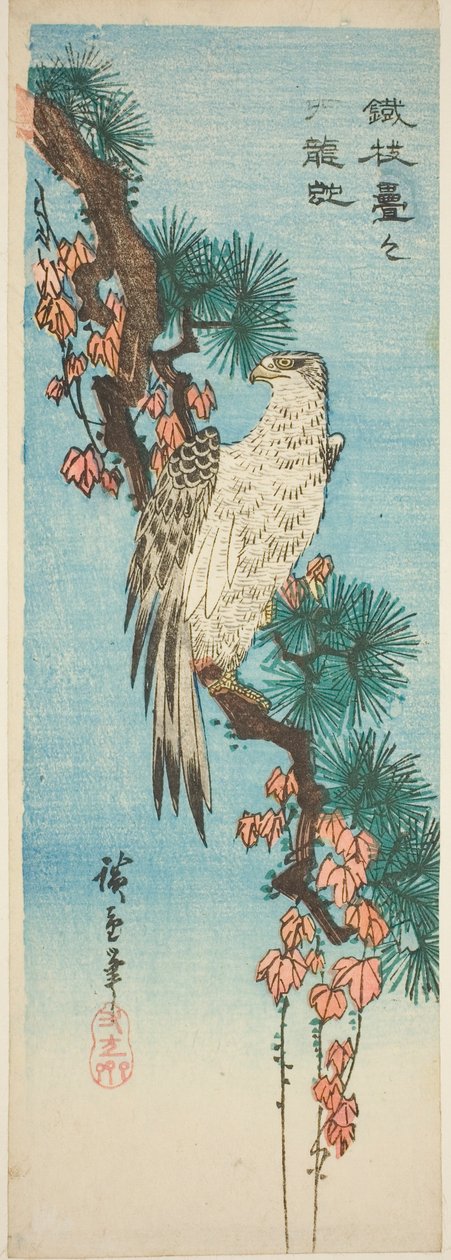 Halcón en una rama de pino cubierta de hiedra de Utagawa Hiroshige
