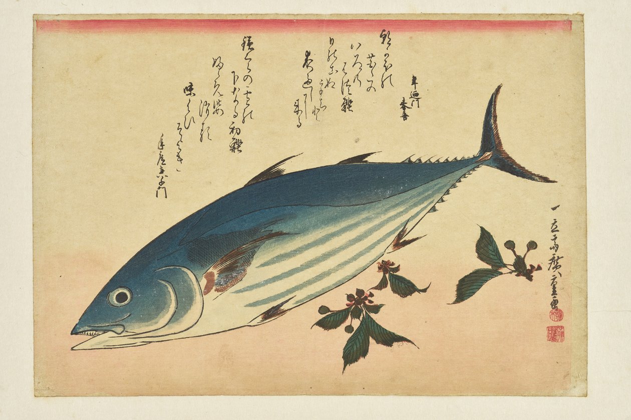 Grabado de peces: Bonito y cerezas, de la serie «Un banco de peces» de Utagawa Hiroshige