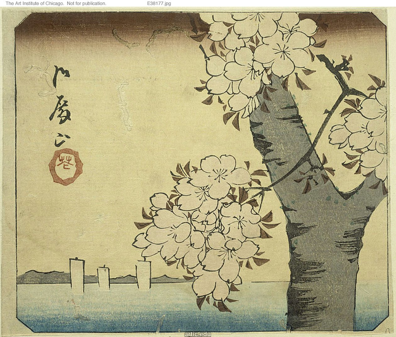 Flores en la colina Goten (Gotenyama, hana), sección de una hoja de la serie "Recortes de lugares famosos en Edo (Harimaze Koto meisho)" de Utagawa Hiroshige