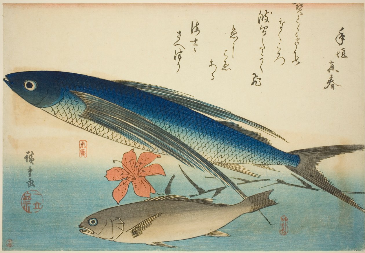 Pez volador e Ichimochi, de una serie sin título de peces de Utagawa Hiroshige