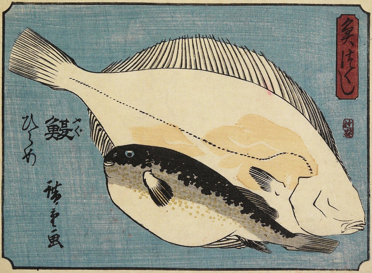Pez globo y lenguado, 1830-1844 de Utagawa Hiroshige