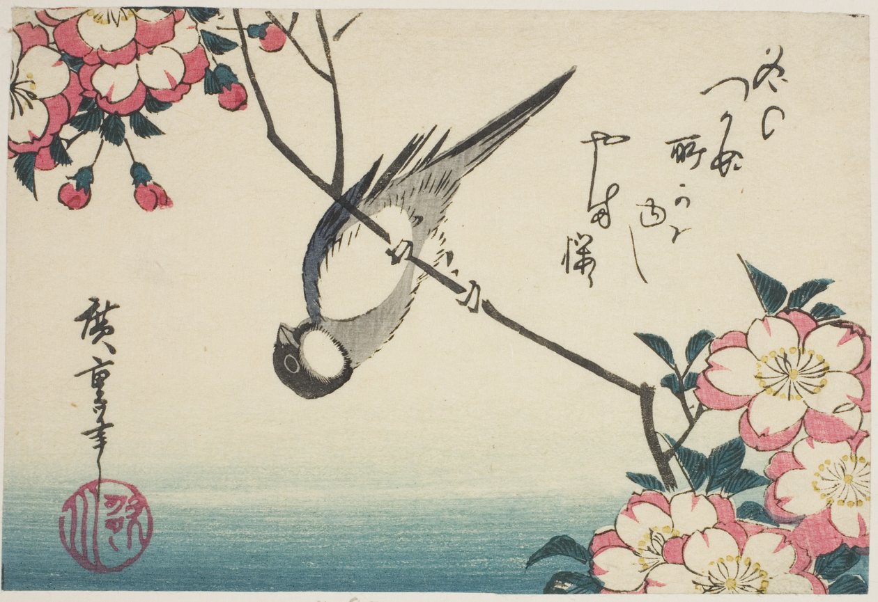 Carbonero común en rama de flor de cerezo de Utagawa Hiroshige