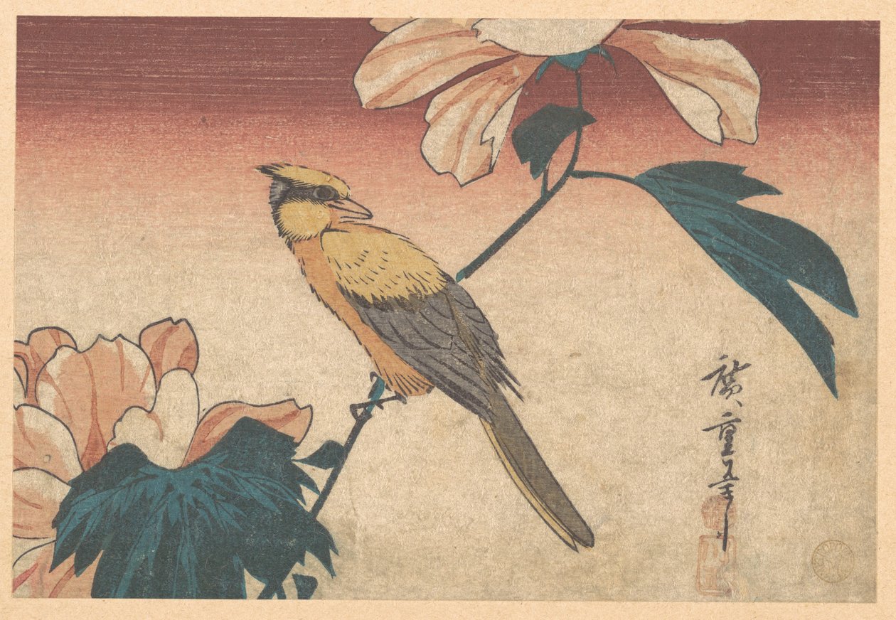 Hibiscus mutabilis y Jay de Utagawa Hiroshige
