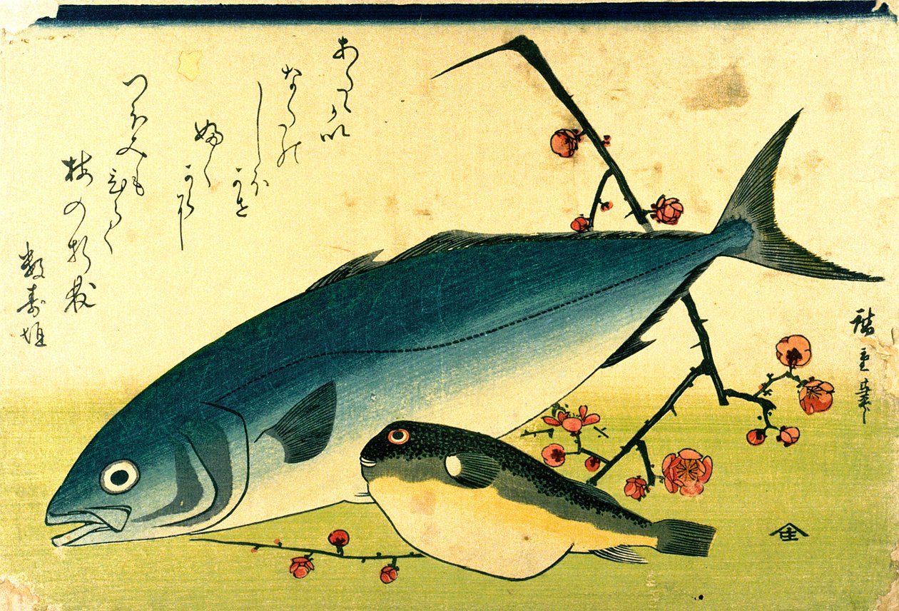 Hiroshige Un banco de peces Fugu Yellowtail de Utagawa Hiroshige