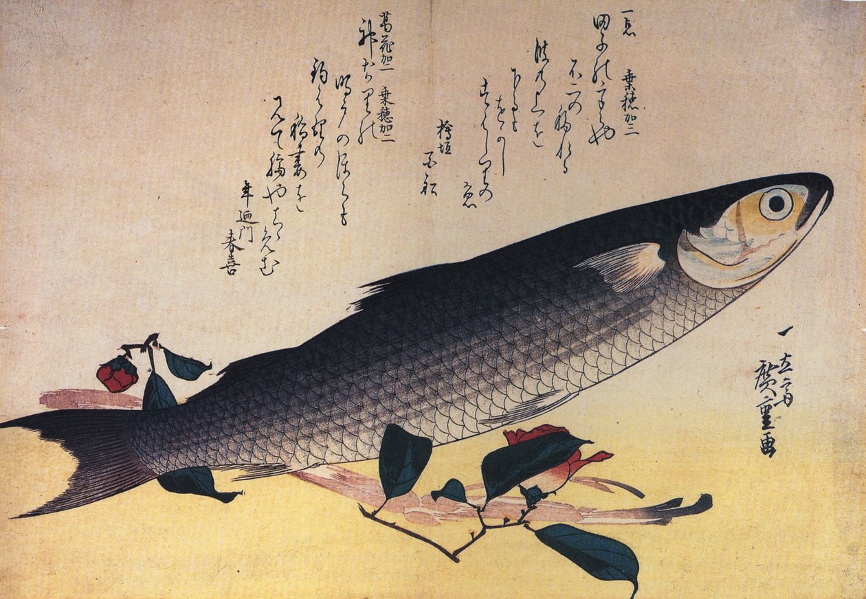 Hiroshige Salmonete gris y camelia de Utagawa Hiroshige