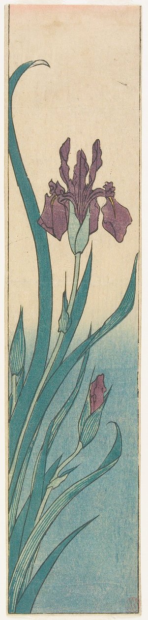 Iris de Utagawa Hiroshige