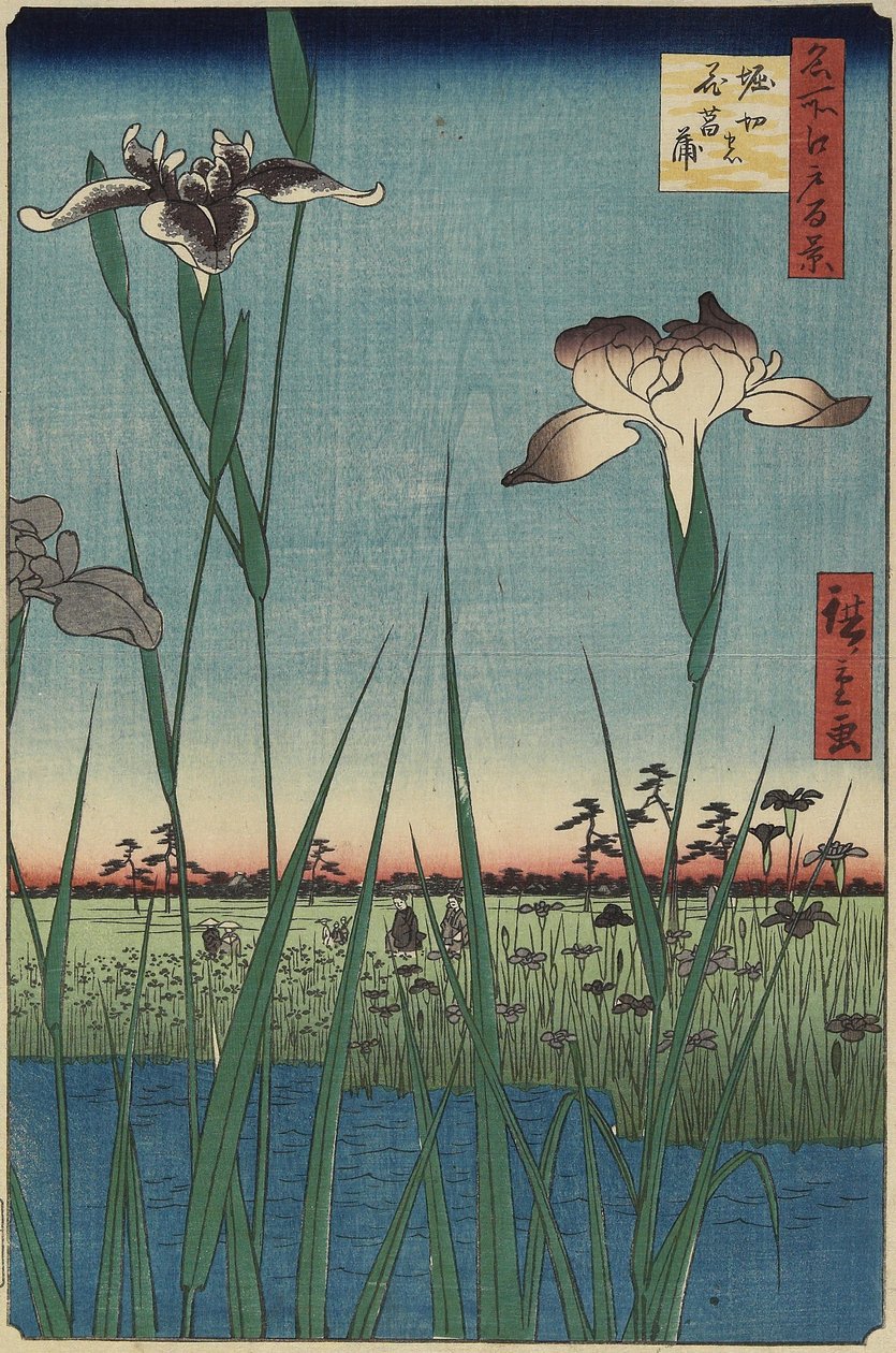 Jardín de iris en Horikiri, mayo 1857 de Utagawa Hiroshige