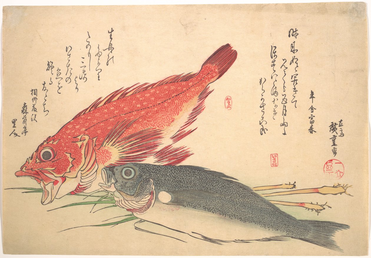 Peces Isaki y Kasago, de la serie Uozukushi (Todas las variedades de peces) de Utagawa Hiroshige