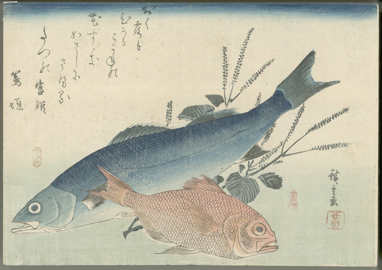 Lubina japonesa, dorada de ojos dorados y planta de shiso de Utagawa Hiroshige