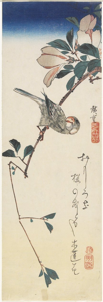 Gorrión de Java y Magnolia, 1834-1839 de Utagawa Hiroshige