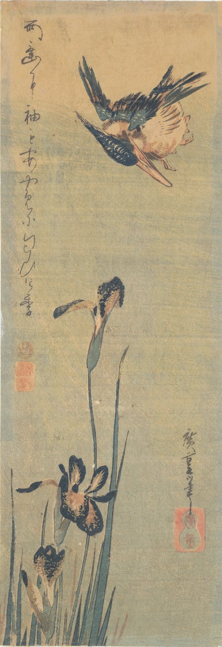 Martín pescador volando sobre un Iris de Utagawa Hiroshige