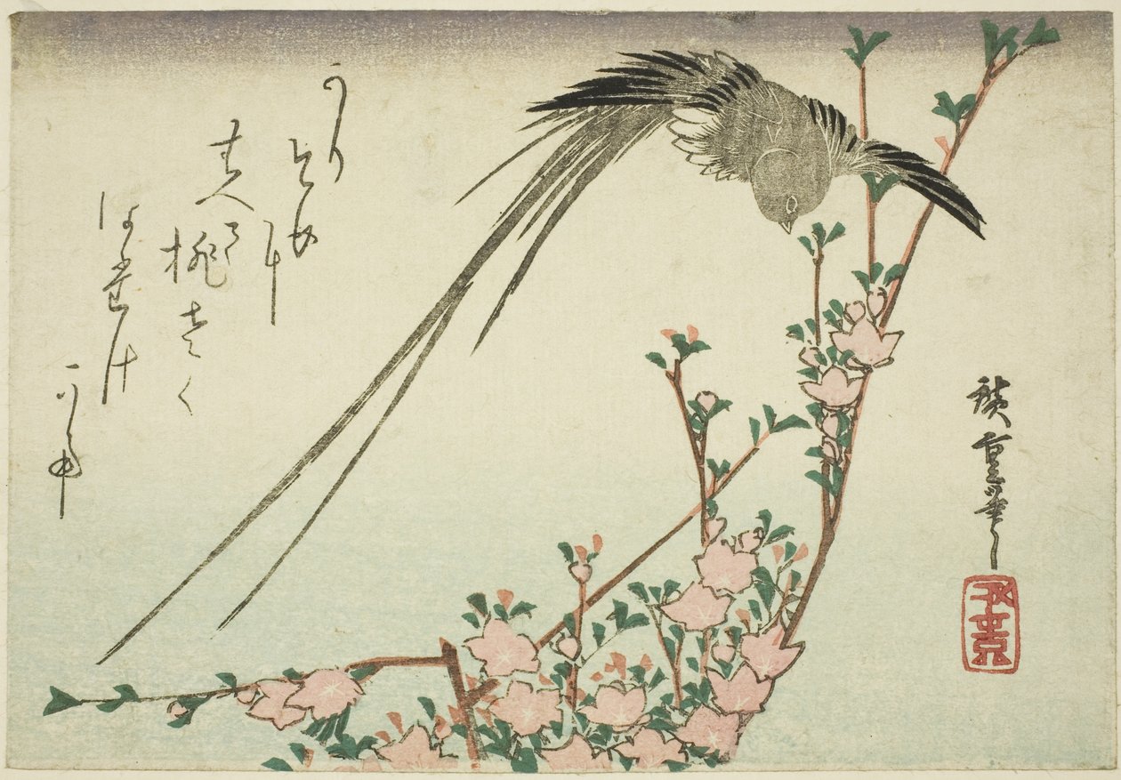Pájaro de cola larga y flores de durazno de Utagawa Hiroshige
