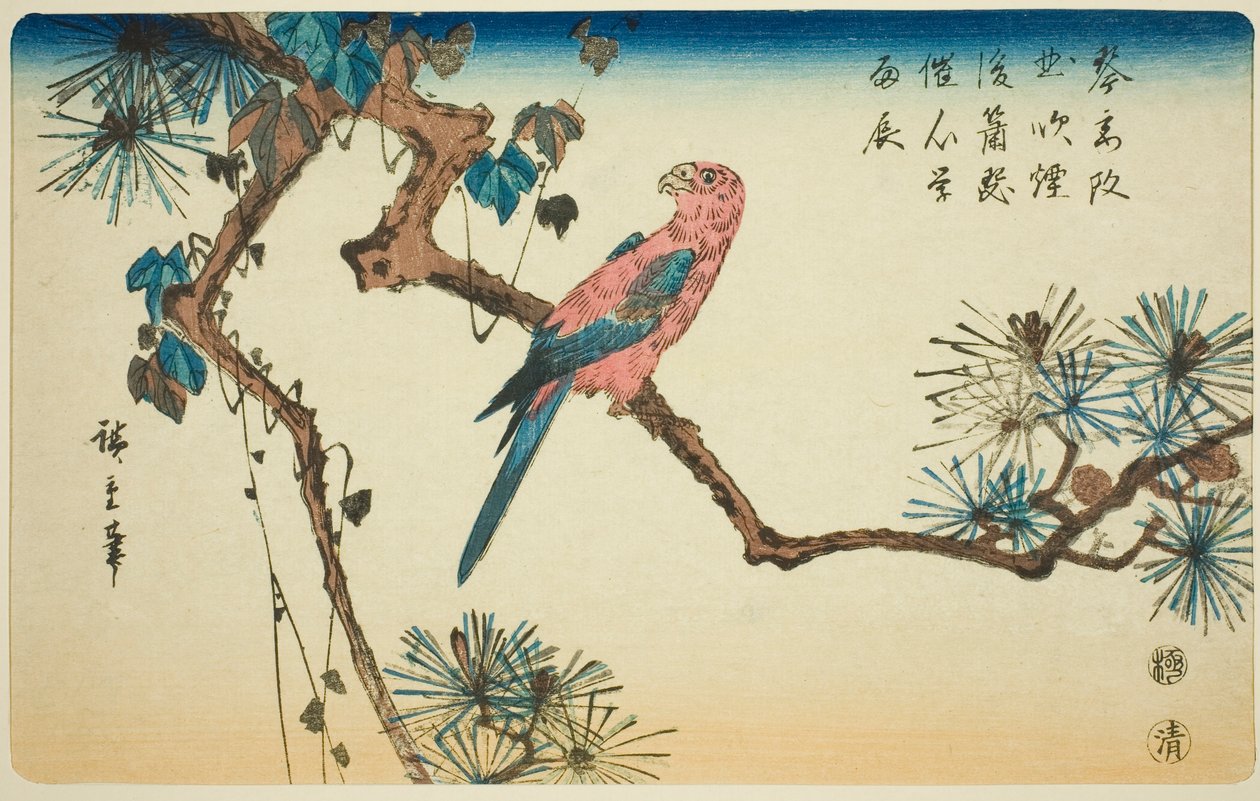 Guacamayo en rama de pino de Utagawa Hiroshige