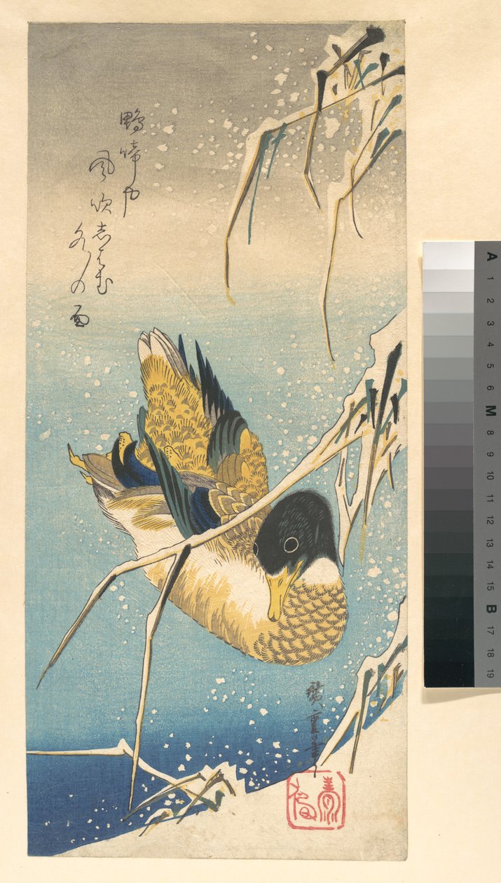 Stockente und schneebedeckte Schilfrohre de Utagawa Hiroshige