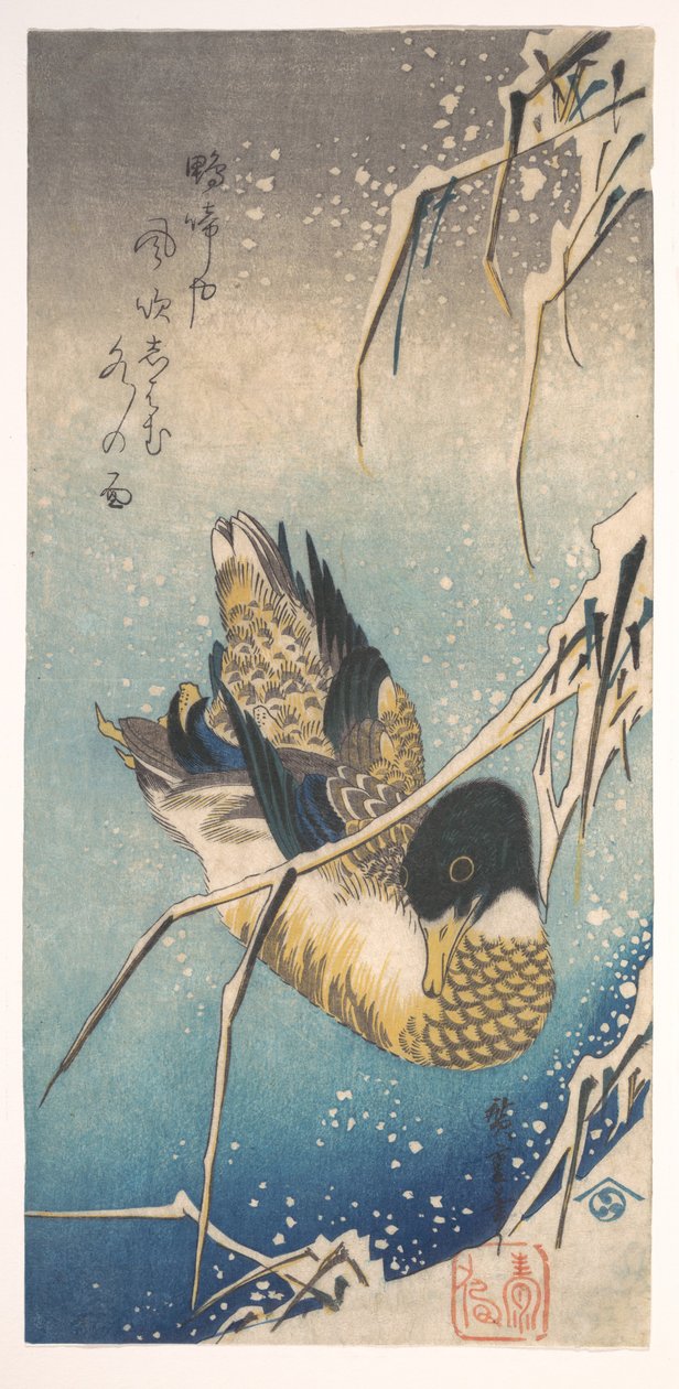 Ánade real y juncos cubiertos de nieve de Utagawa Hiroshige