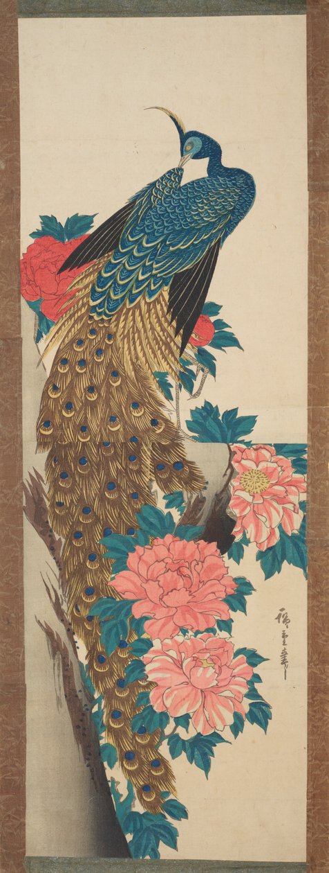El pavo y las flores de peonía / Botan ni kujaku de Utagawa Hiroshige