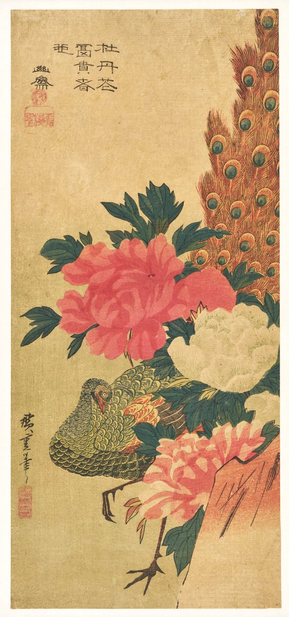 Peonías y pavo real de Utagawa Hiroshige