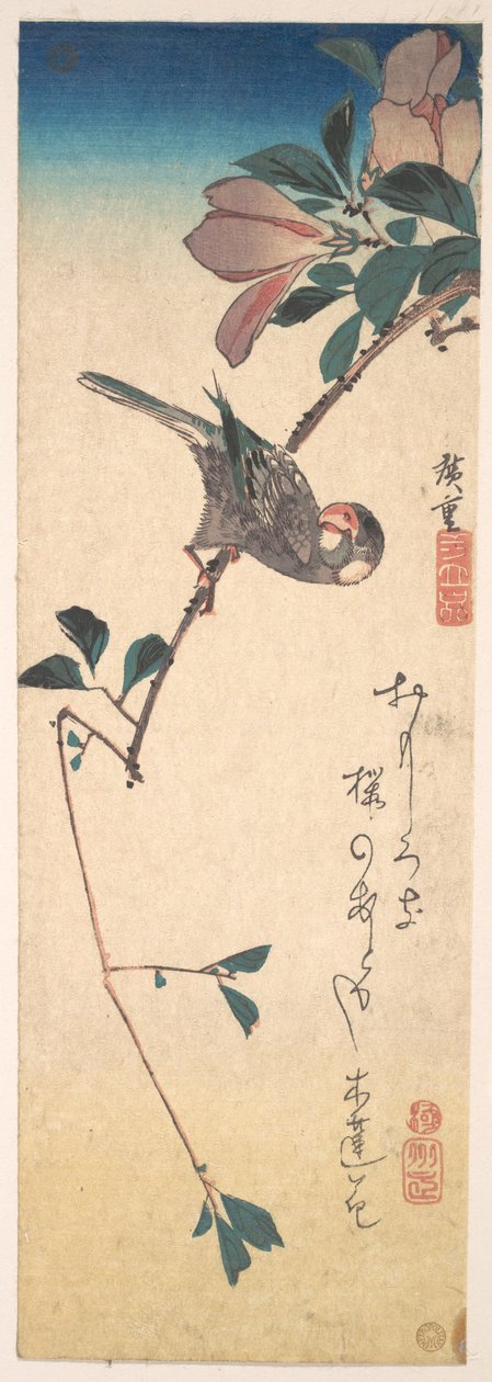 Purpurmagnolie und Hornvogel de Utagawa Hiroshige