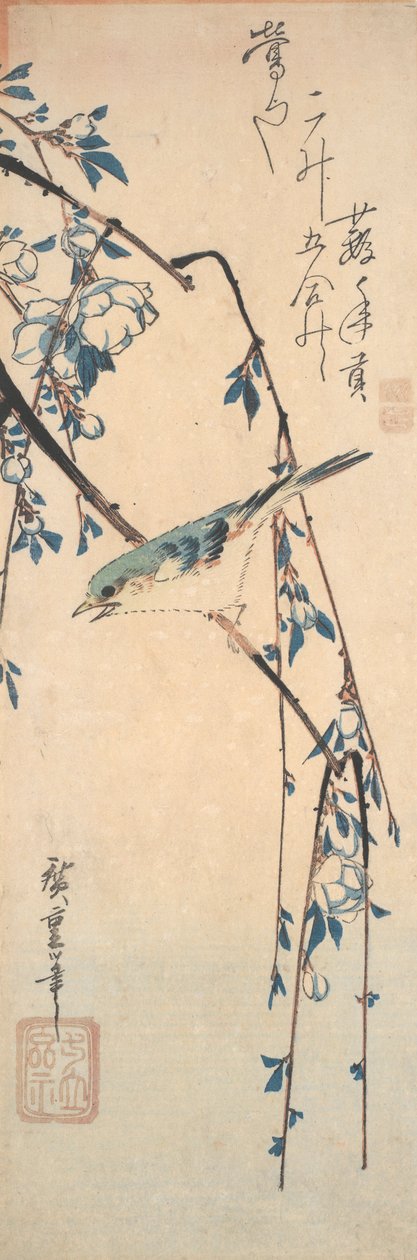 Bluetail Red-Flanked en una rama de cerezo de Utagawa Hiroshige