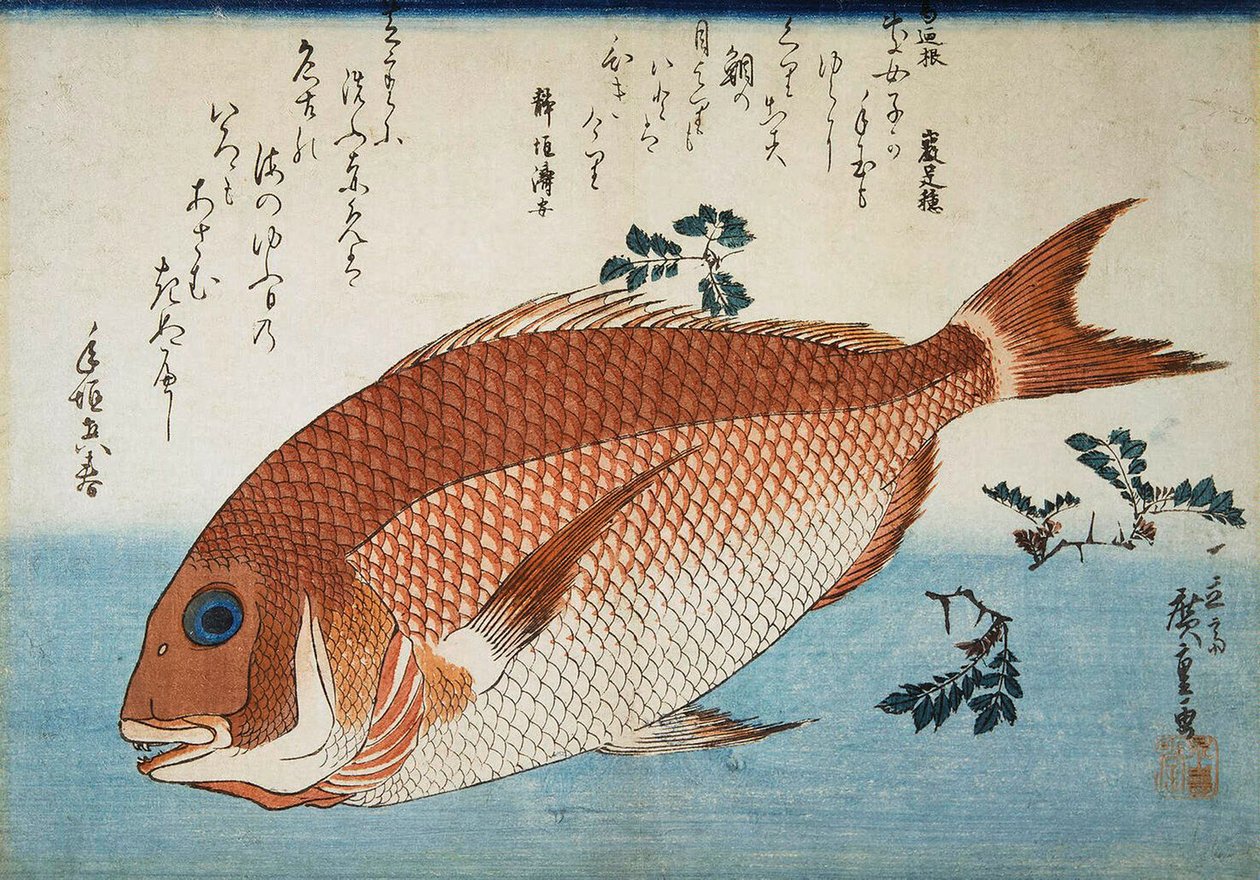 Besugo, 1832-1834 de Utagawa Hiroshige