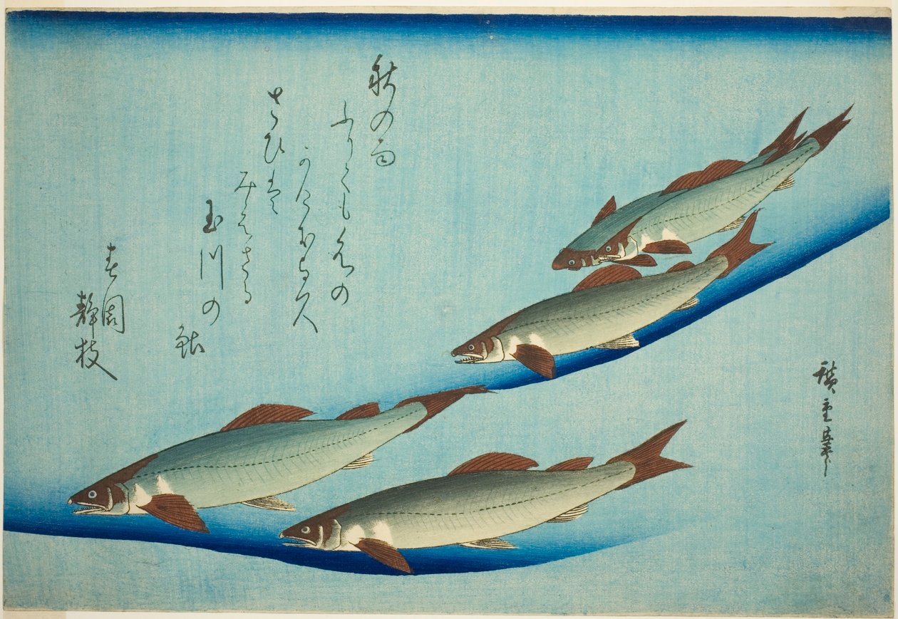 Trucha de río de Utagawa Hiroshige