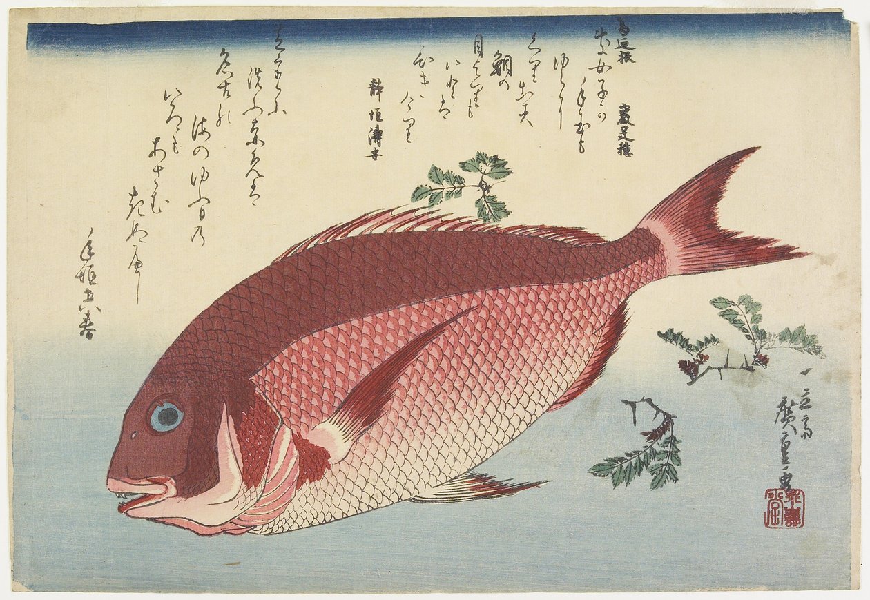 Besugo y ramitas de sansho, c. 1832 de Utagawa Hiroshige