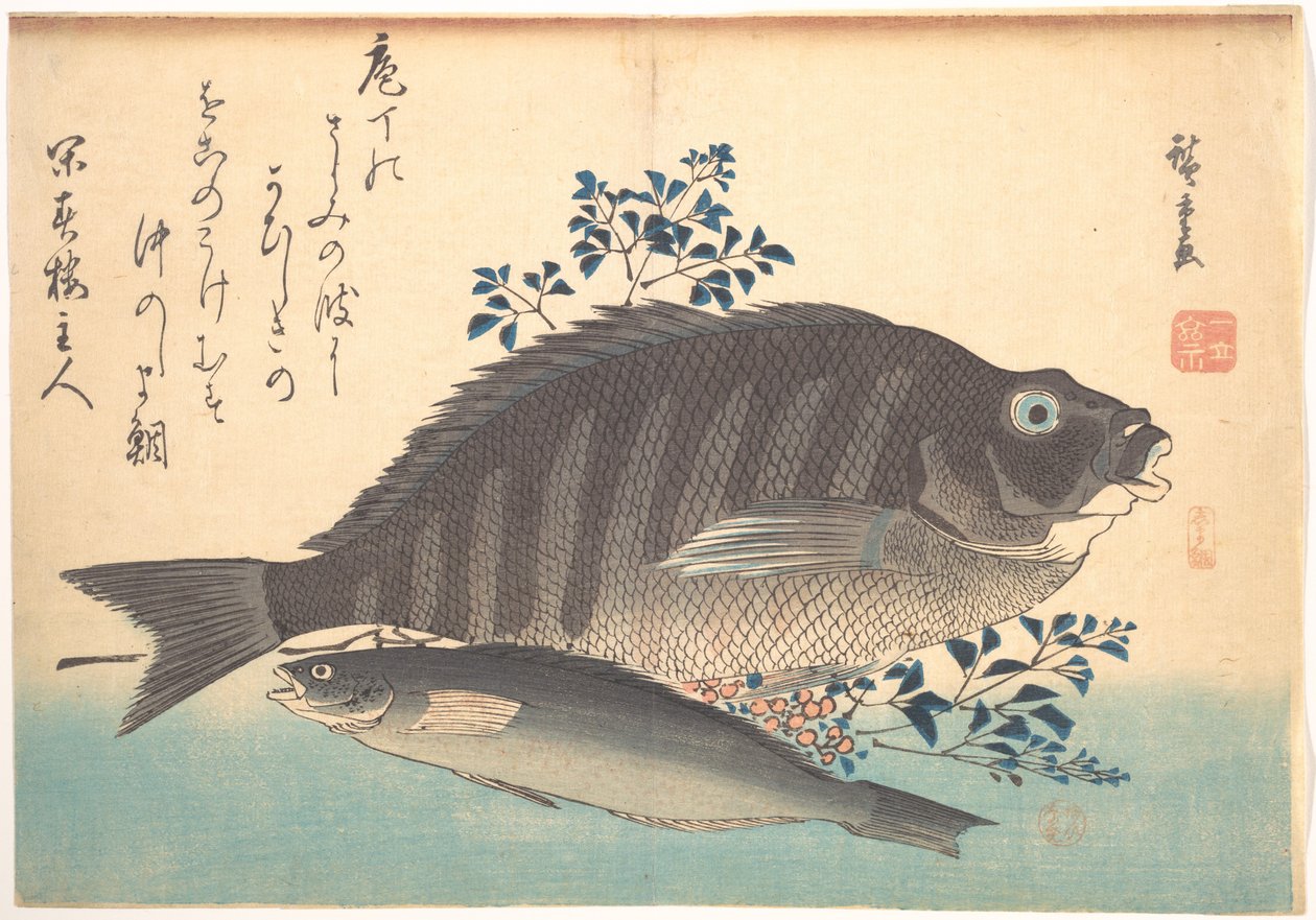 Peces shimadai y ainame, de la serie Uozukushi (Toda variedad de peces) de Utagawa Hiroshige