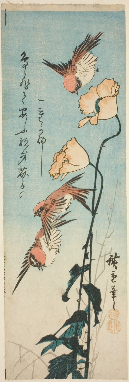 Gorriones y amapolas de Utagawa Hiroshige