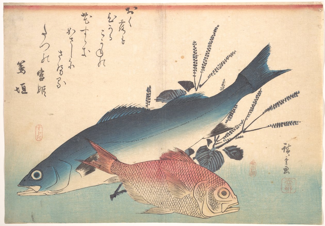 Peces suzuki y kinmedai de la serie Uozukushi (Todas las variedades de peces) de Utagawa Hiroshige