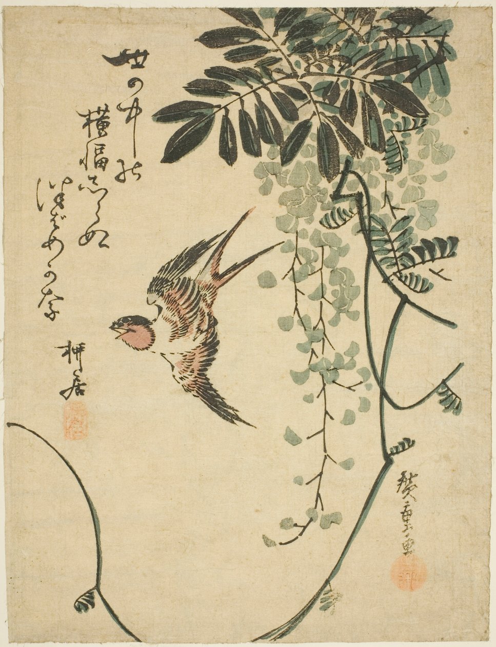 Golondrina y glicinia de Utagawa Hiroshige