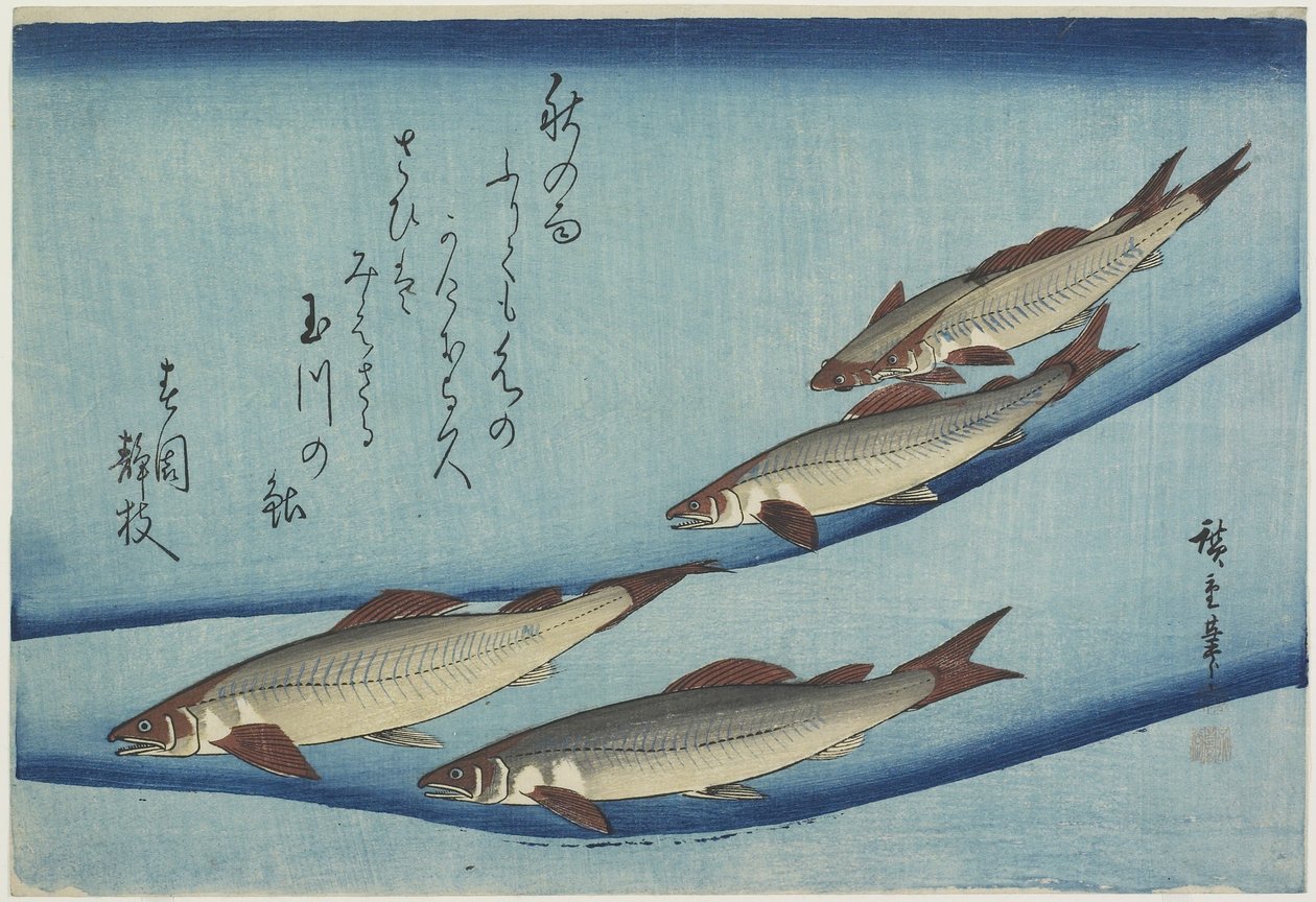 Peces dulces, 1832-1833 de Utagawa Hiroshige